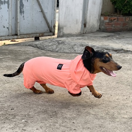 SoOok cooling cover roll dachshund only [SO-OR015]